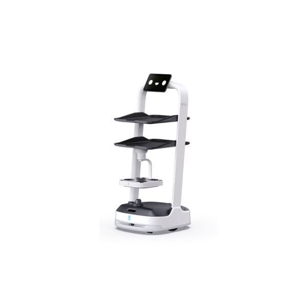 robot de servicio pudubot 2
